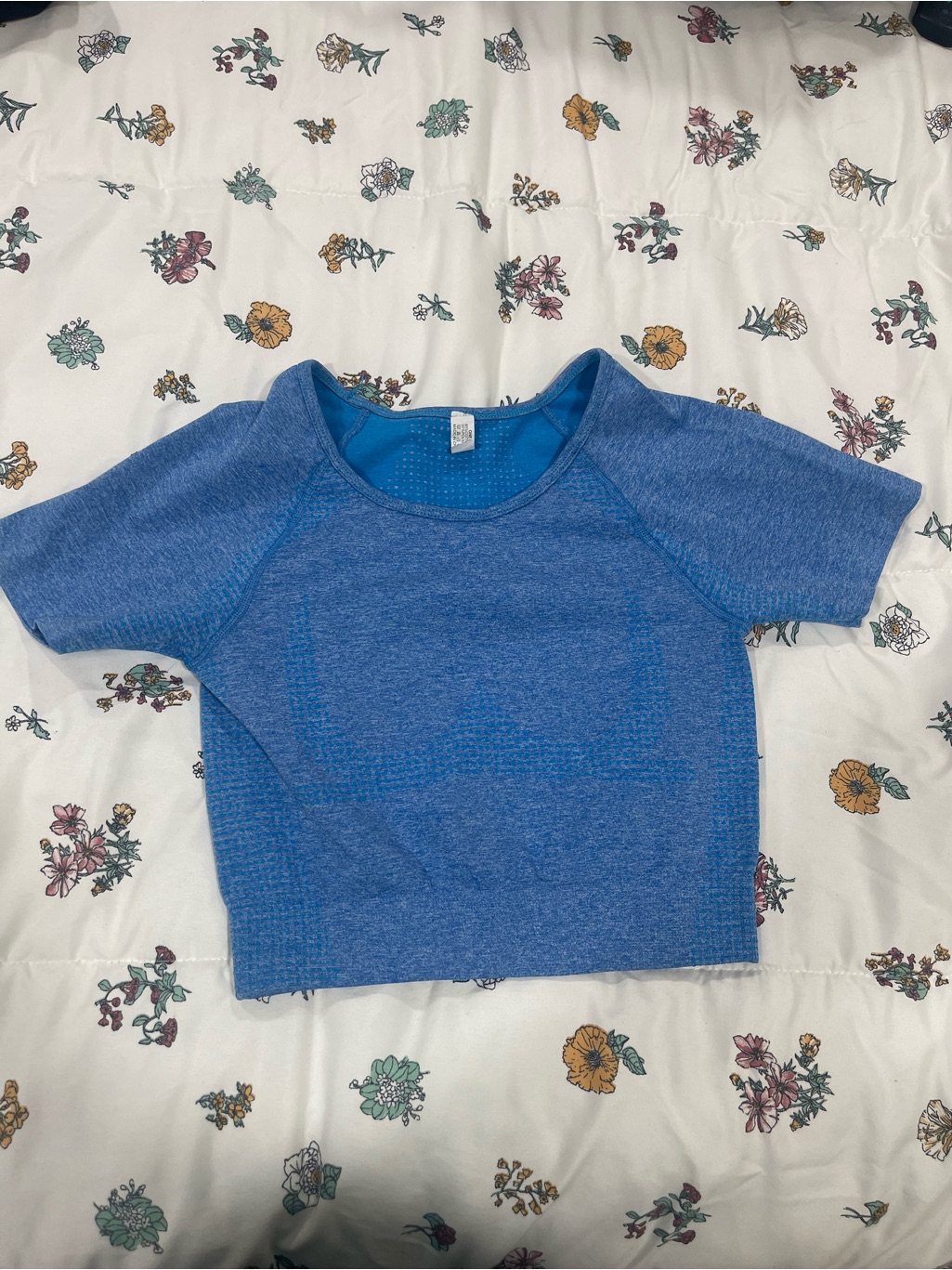 Blue Seamless Workout Crop Top